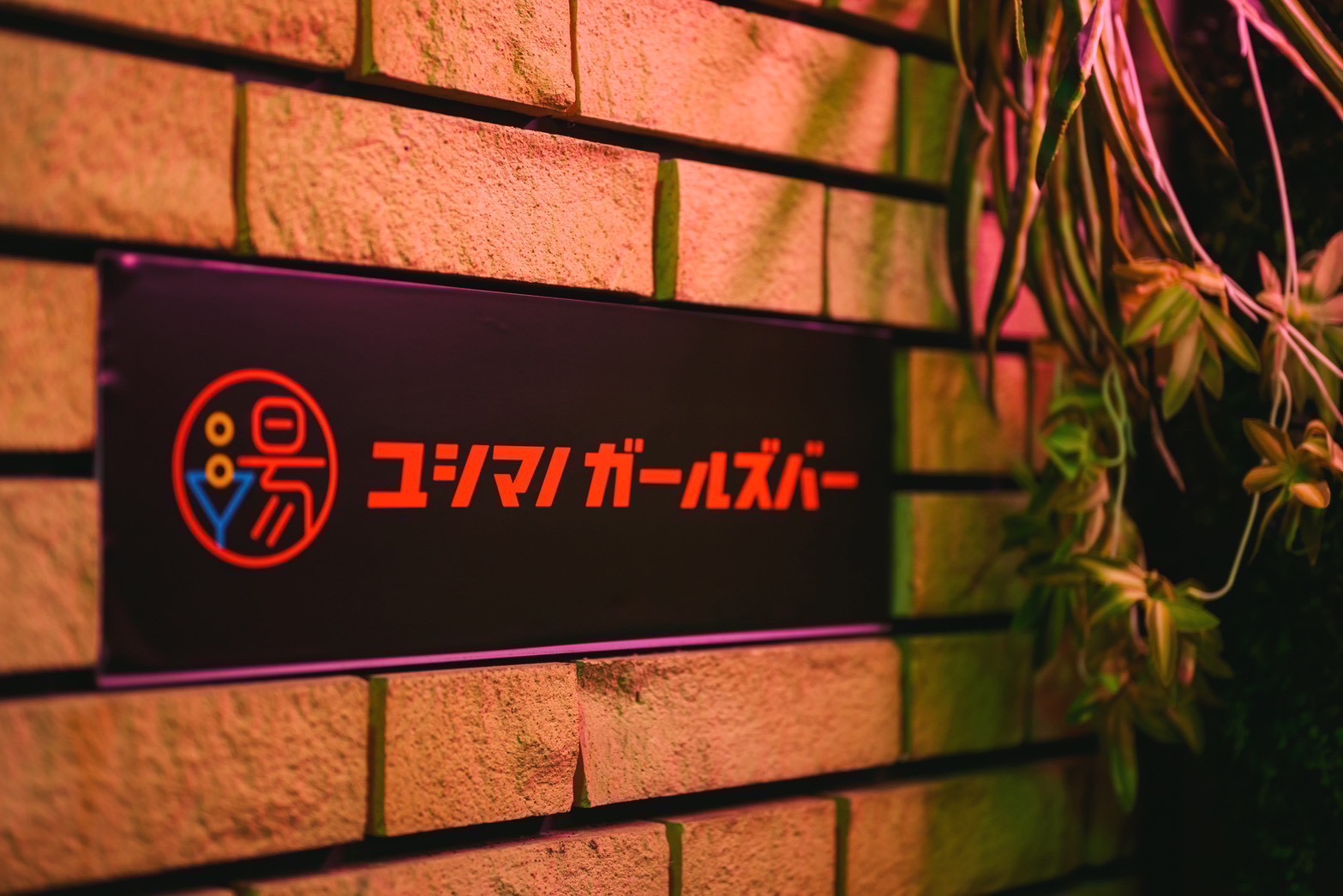 店舗の写真