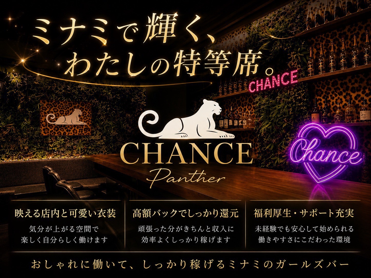 ミナミ CHANCE PANTHER / パンサーの写真